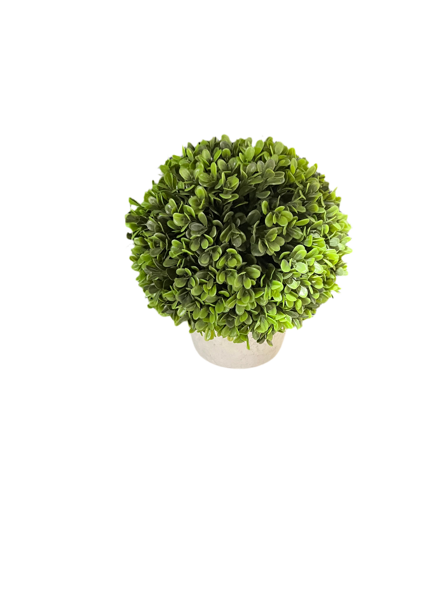 Faux Boxwood Plant-OPEN BOX