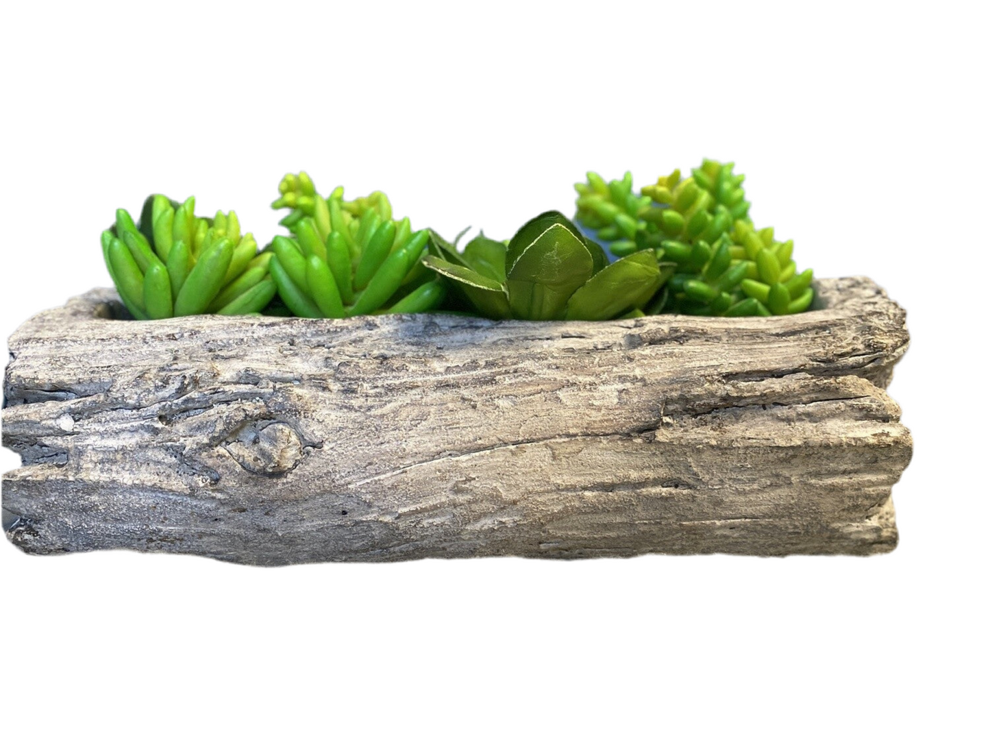 Faux Succulent Decor *OPEN BOX