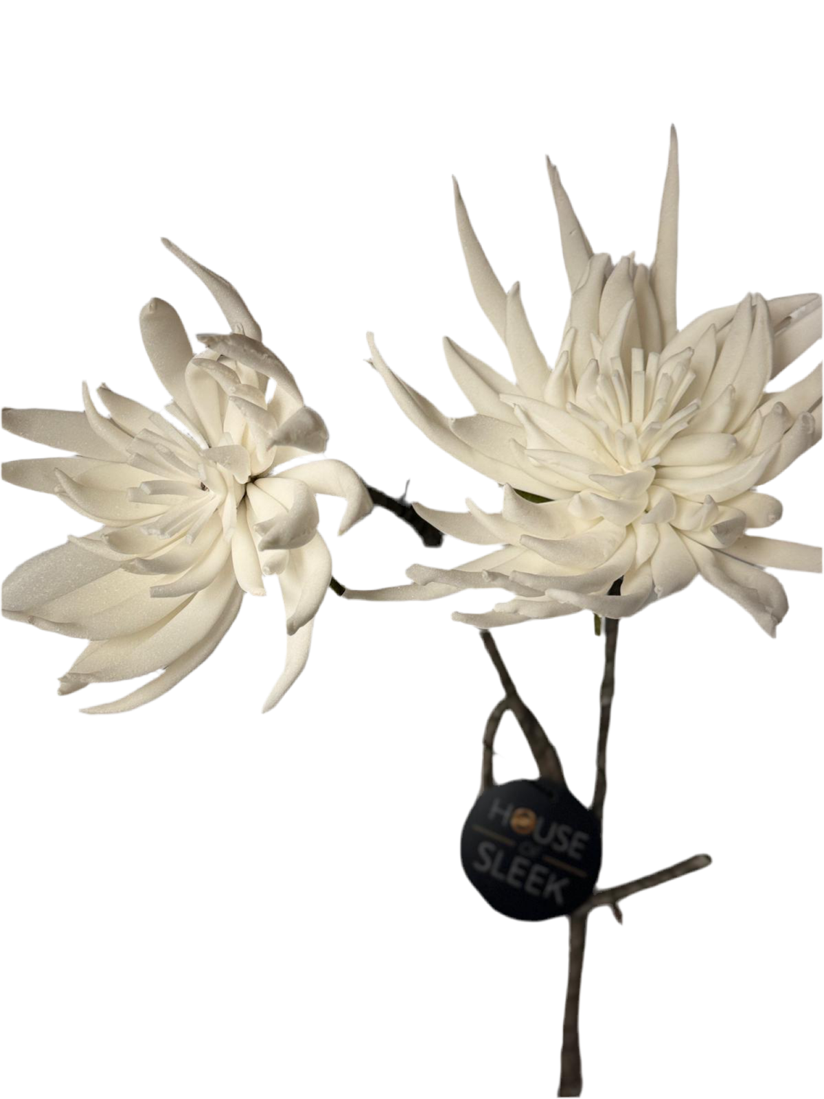 White Flower Stem