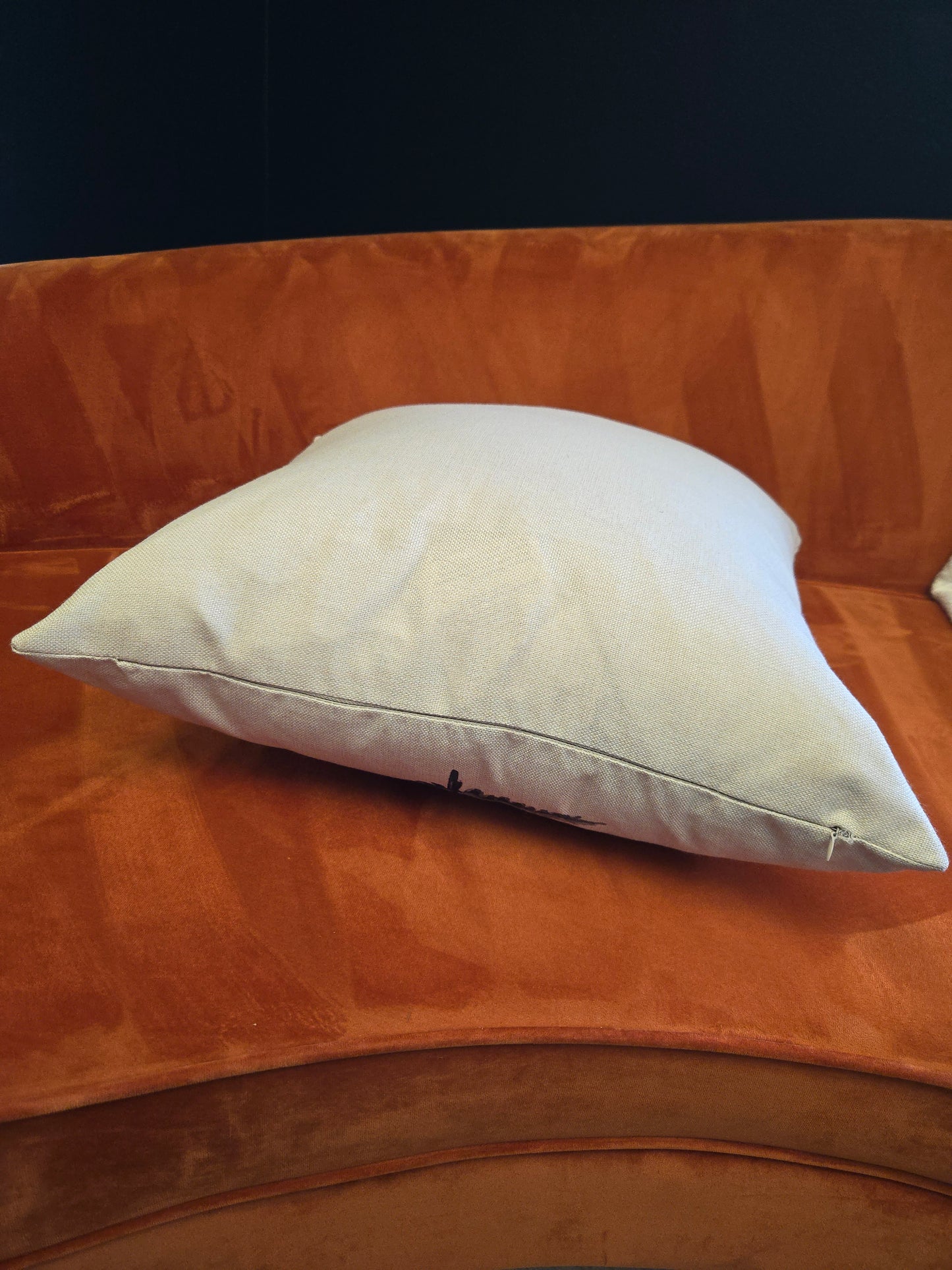 Cozy Modern Fern Leaf Pillow