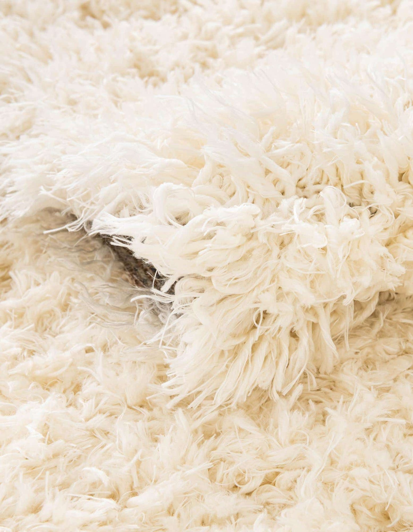 Infinity Shag Rug- 2'x3'