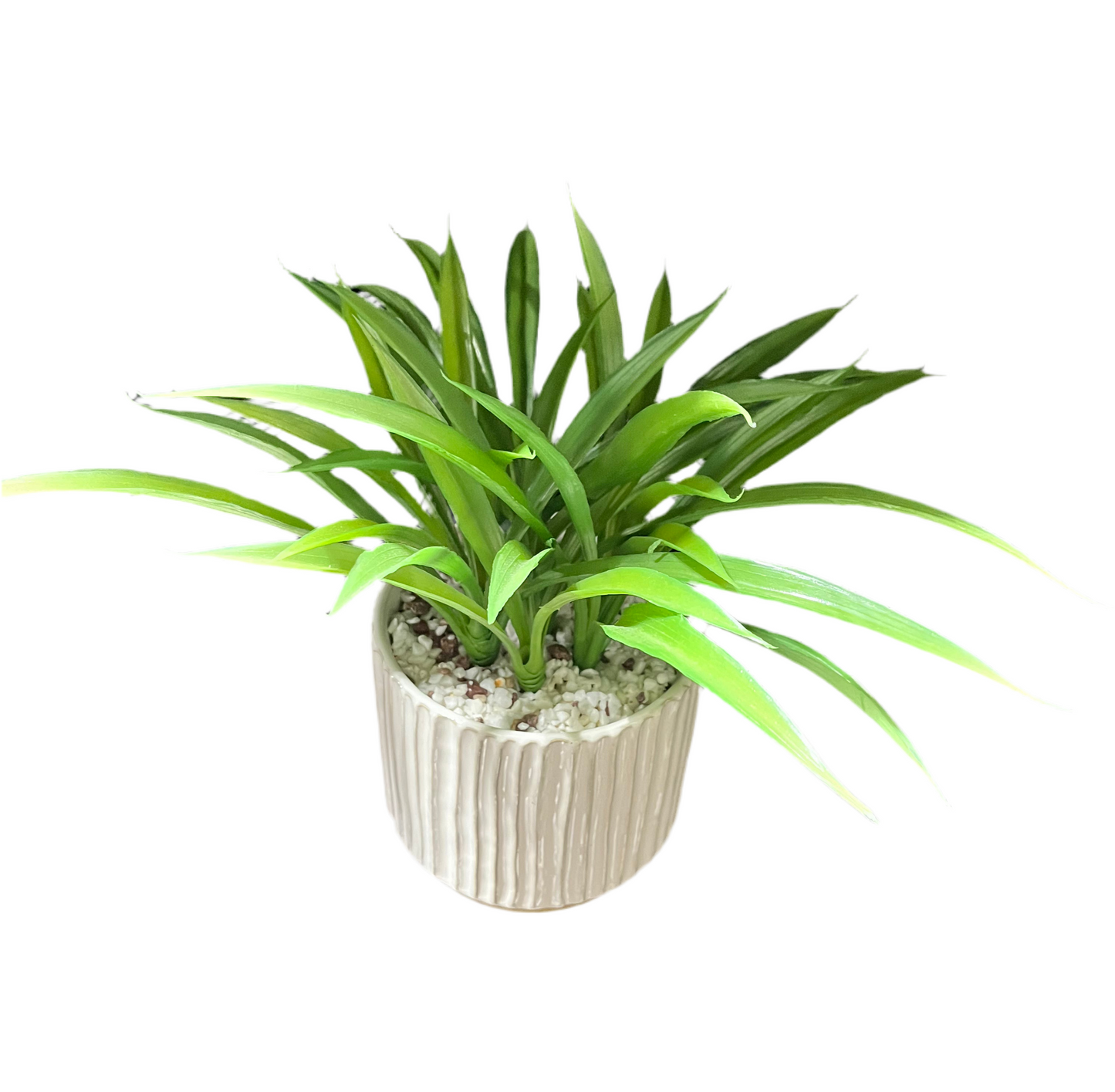 Faux Accent Plant in Two-Tone Grooved Planter