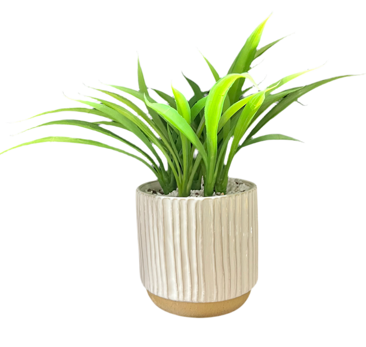 Faux Accent Plant in Two-Tone Grooved Planter