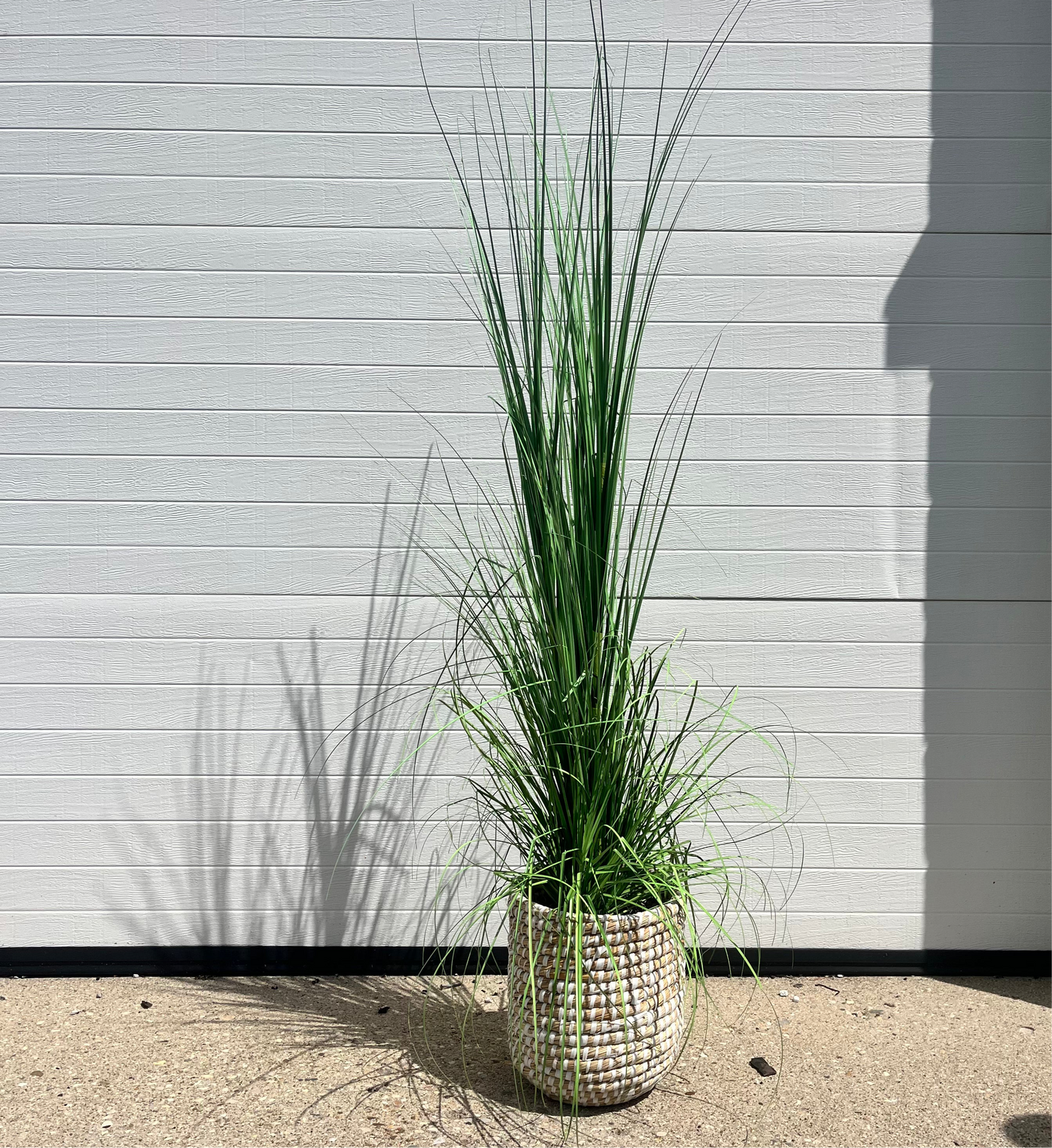 Medium Woven Basket Floor Plant