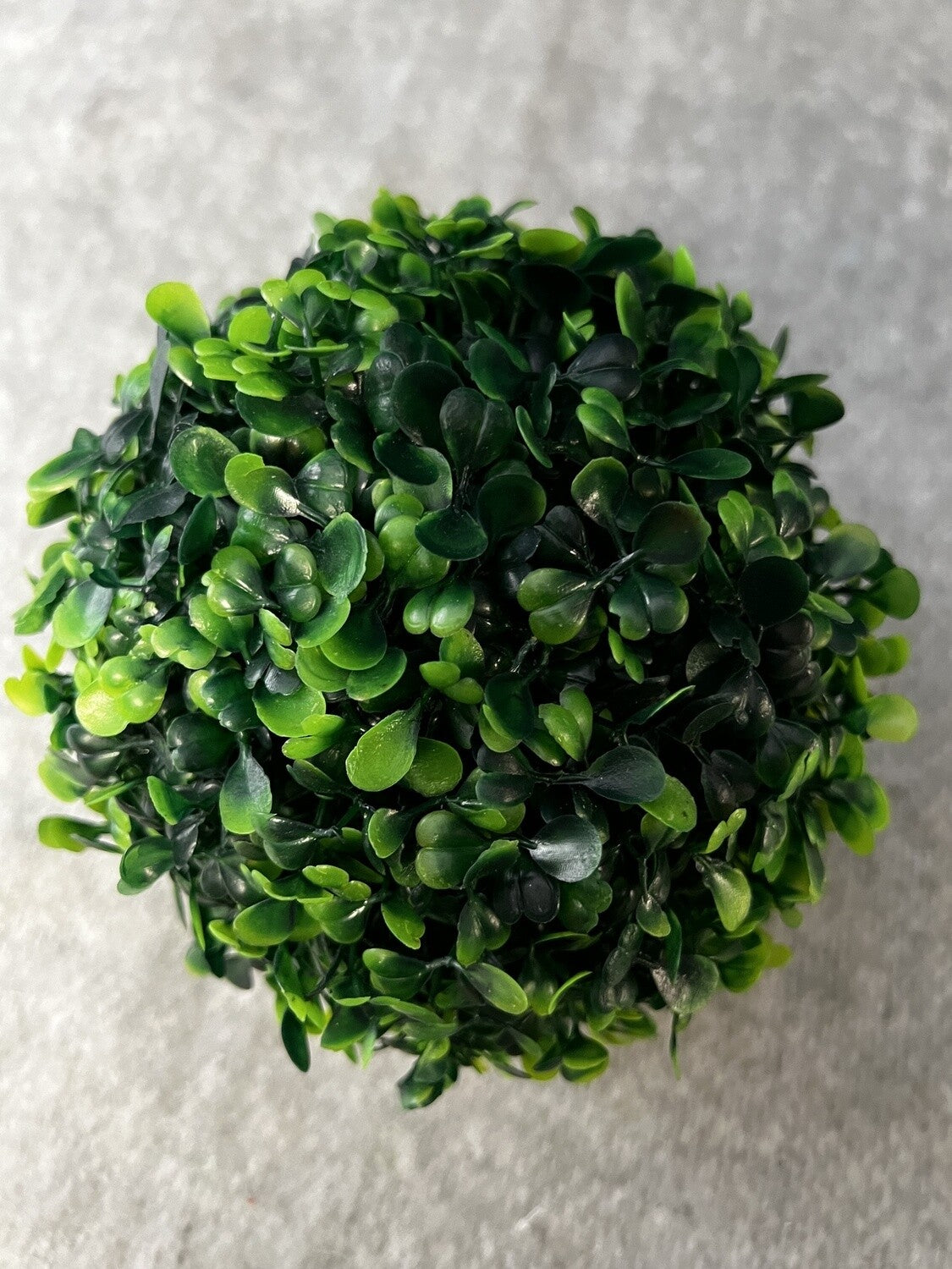 Green Plant Decor- Open Box-