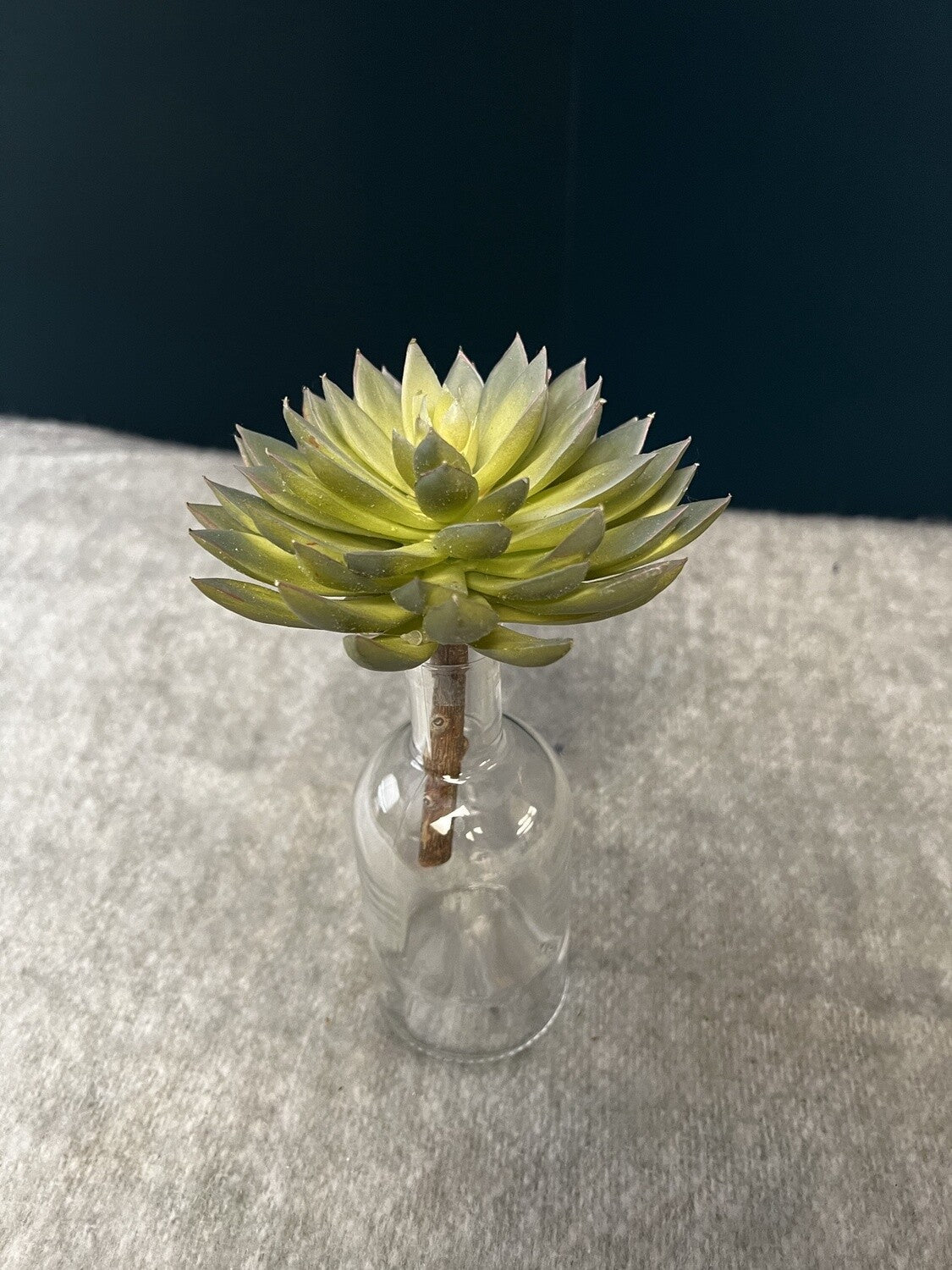 Green Succulent Plant Decor *OPEN BOX