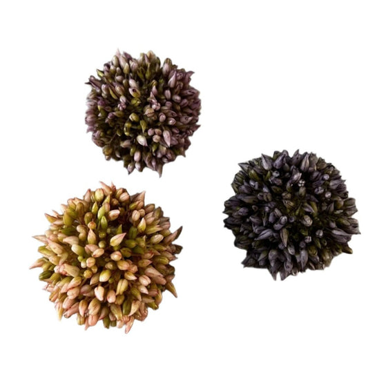 3 pack flower balls