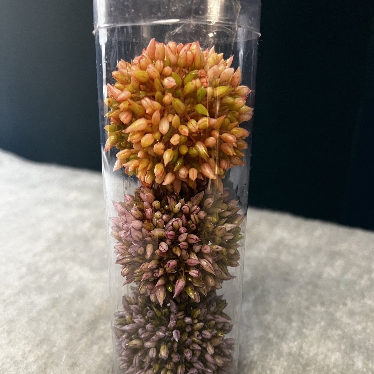 pack of flower balls for decoration