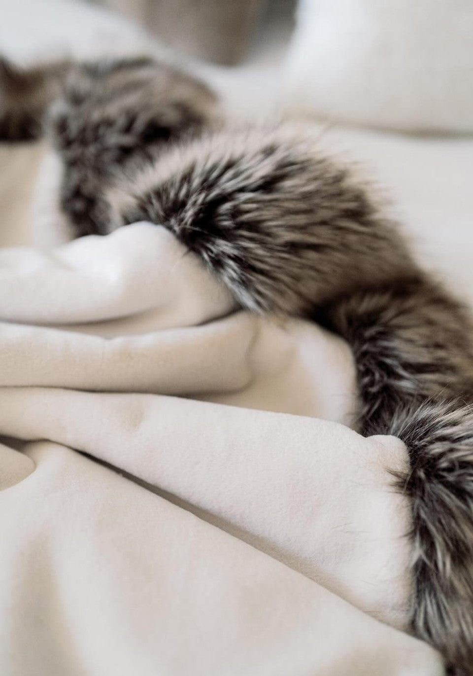 Ivory Faux Sheared Beaver Alpine Weighted Throw