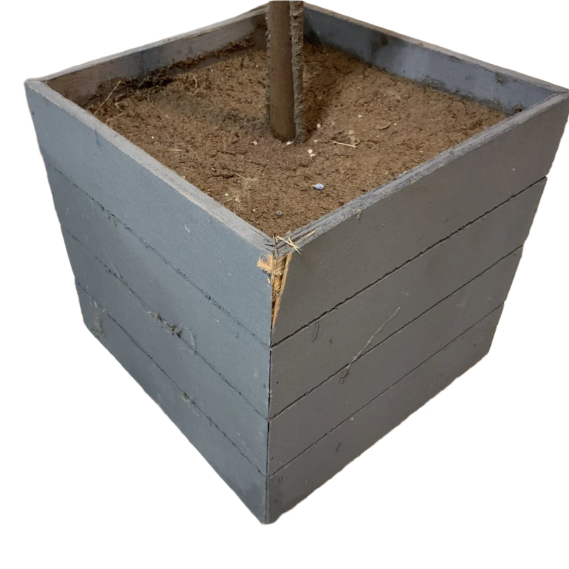 Double Faux Boxwood Topiary *OPEN BOX- Local Pick Up Only