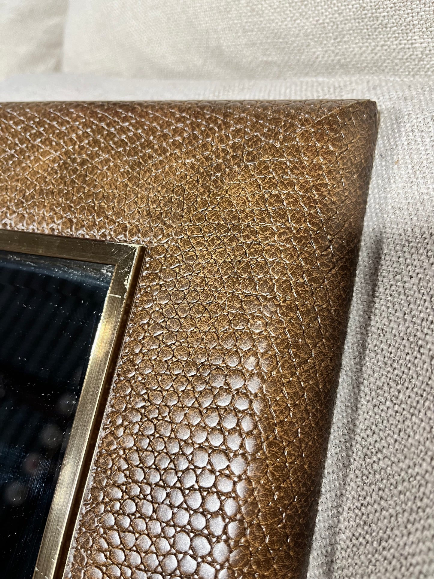 Snake Skin Mirror