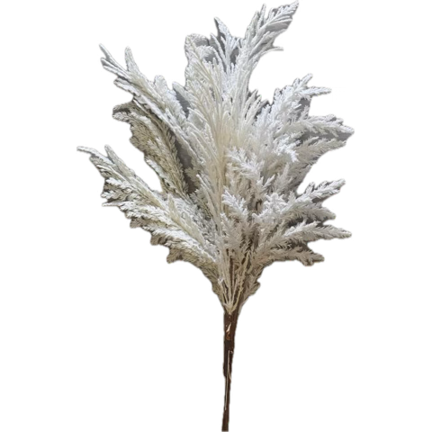 Pampas Grass Stem- Open Box