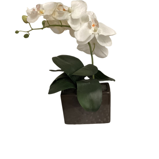 Faux Orchids Plant