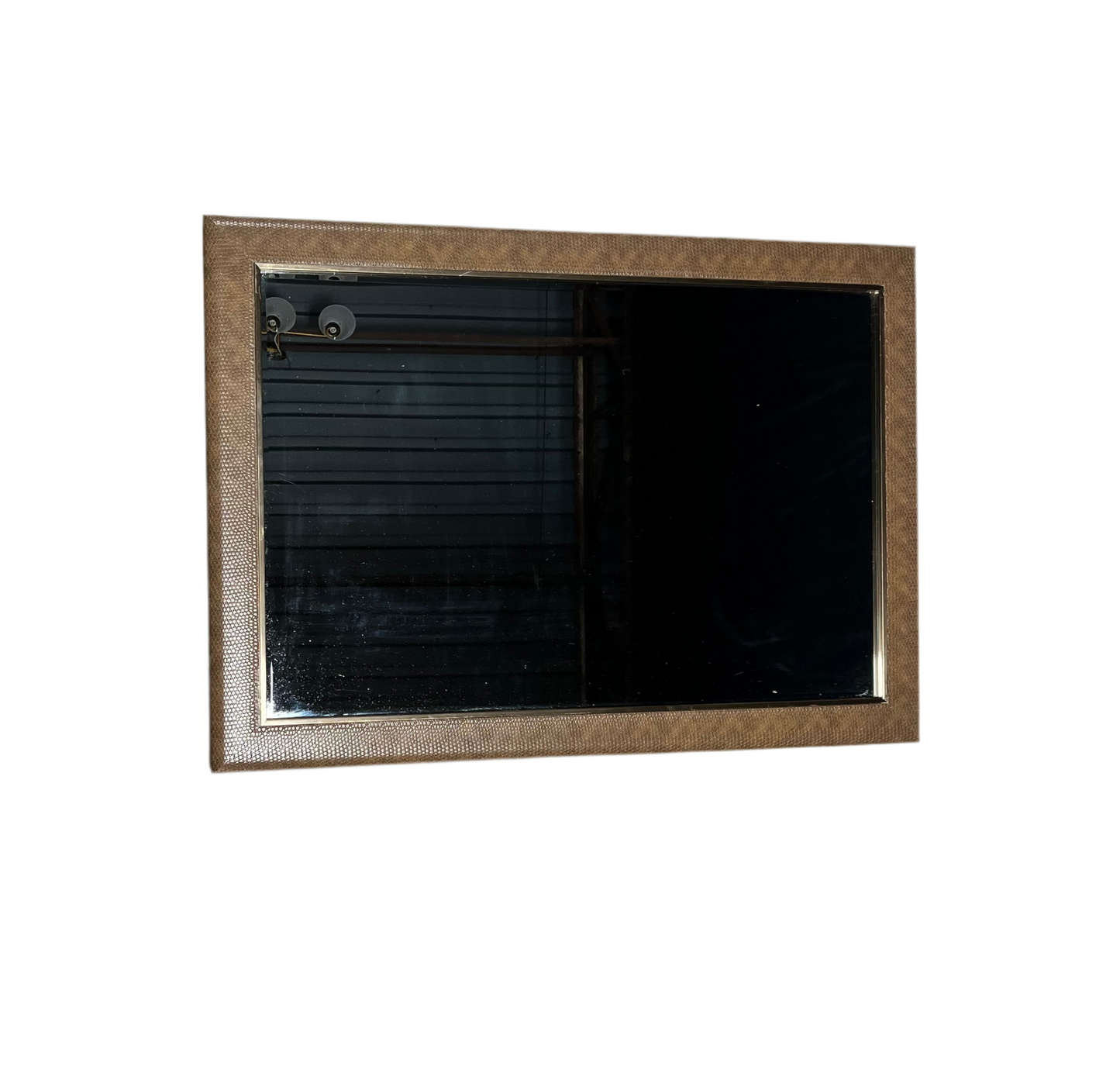 Snake Skin Mirror