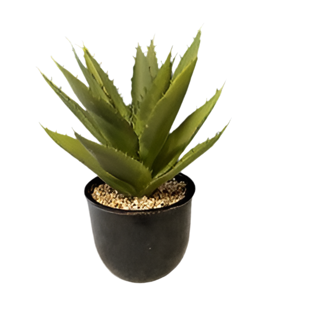 Medium Plant with Vase - Open Box-8143