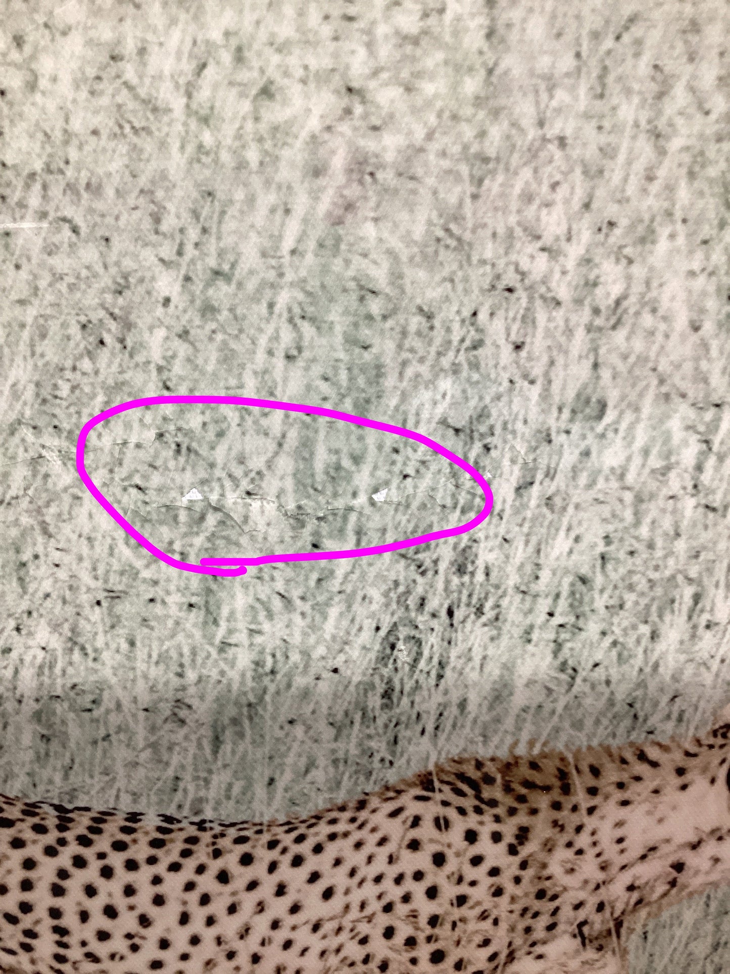 22”x28” Cheetah Painting-OPEN BOX