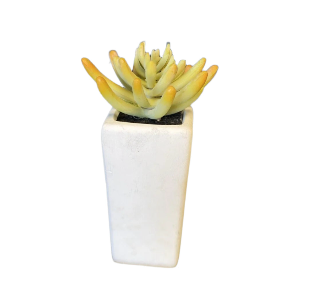 Faux Plant w/ White Vase- Open Box