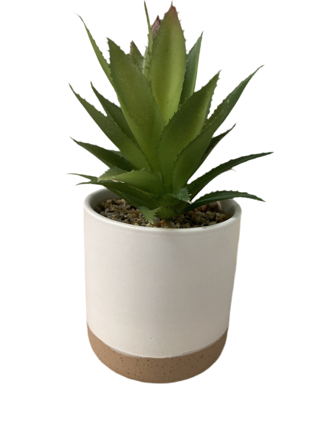 White Planter + Faux Succulent- Open Box