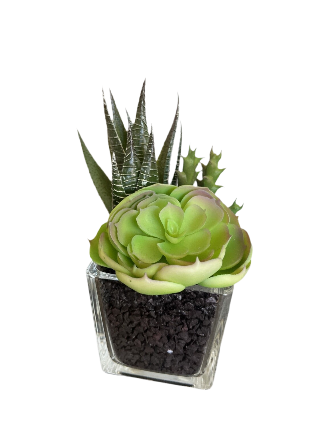 Faux Succulent In Glass Vase
