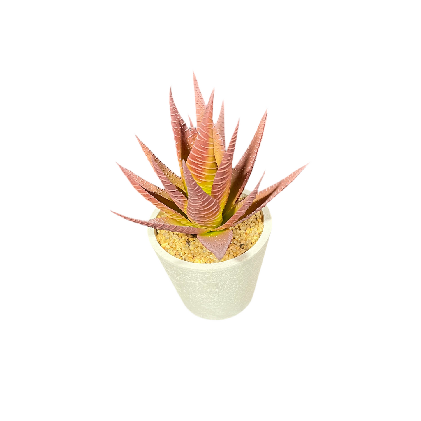 Faux Red Aloe