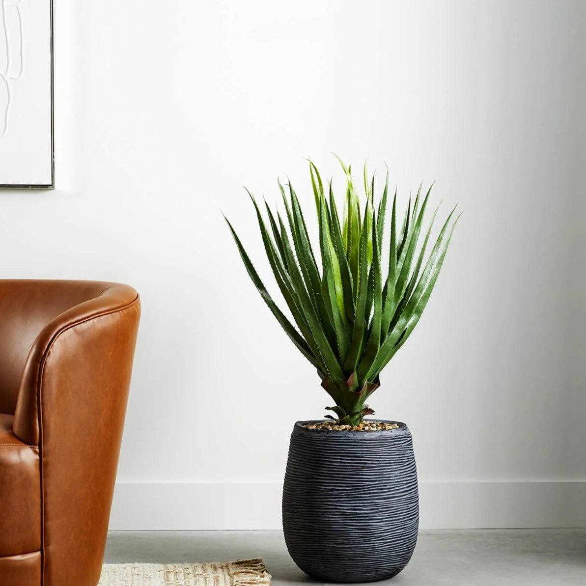 Floor Plant*OPEN BOX-Local Pick Up Only