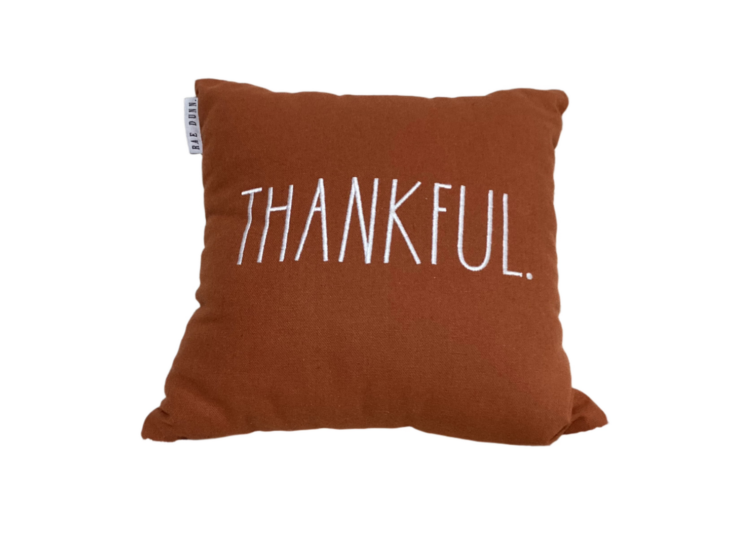 Burnt orange “Thankful” pillow- Open Box
