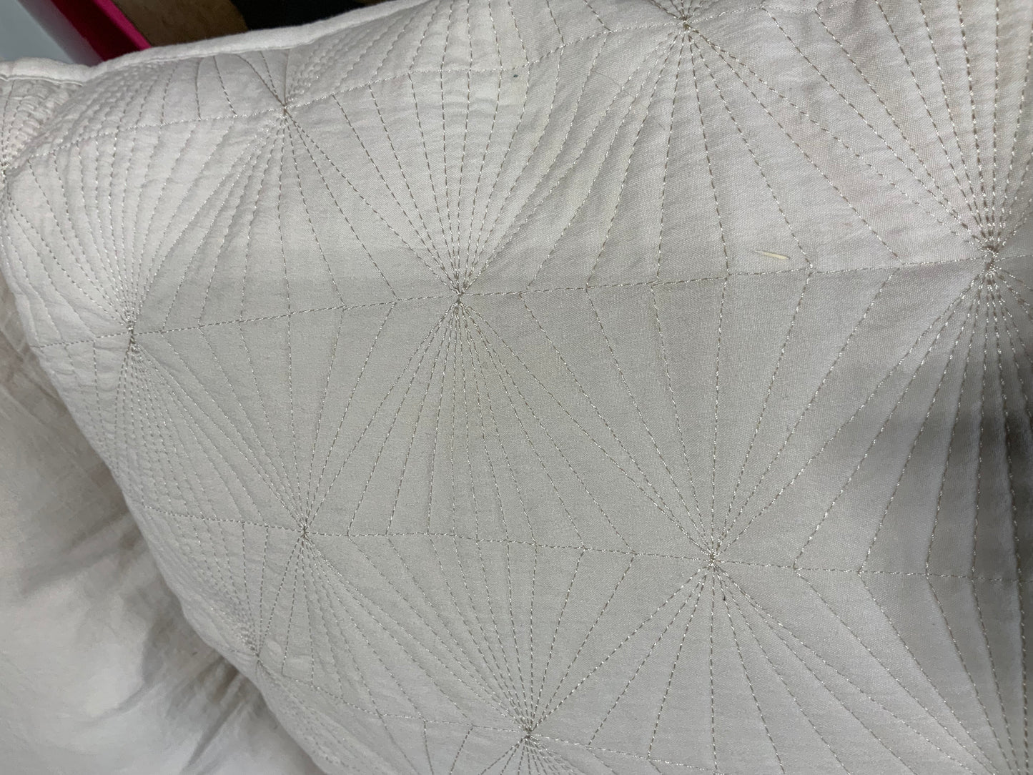 Beige Pillows -Set of 2-Open box