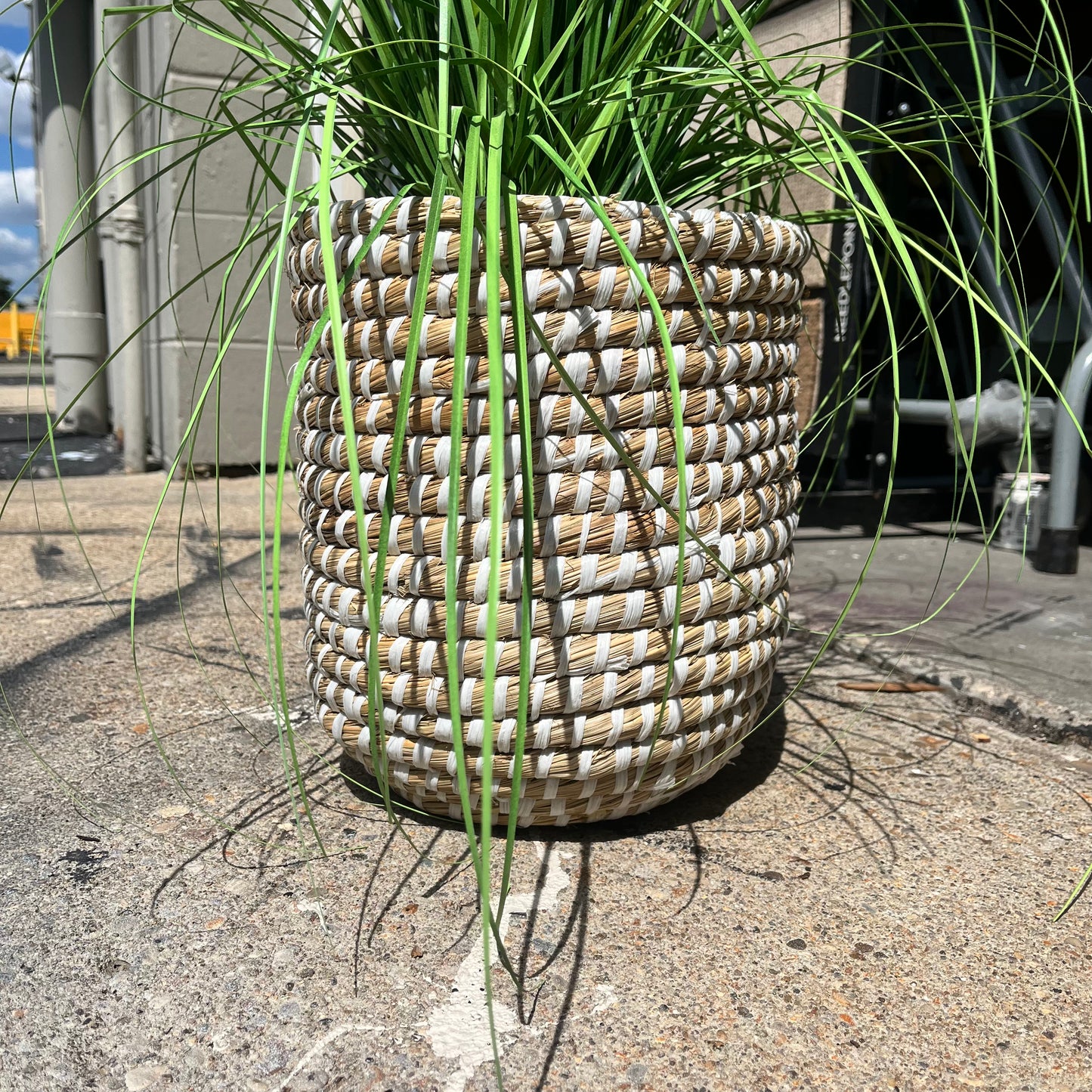 Medium Woven Basket Floor Plant