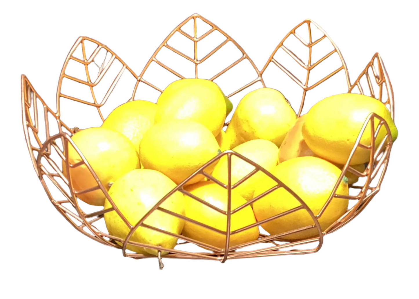 Decorative Wire Bowl