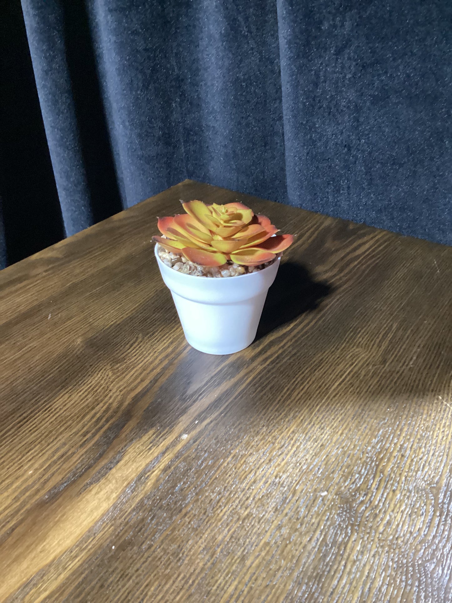 Small Synthetic orange echeveria plant-8103