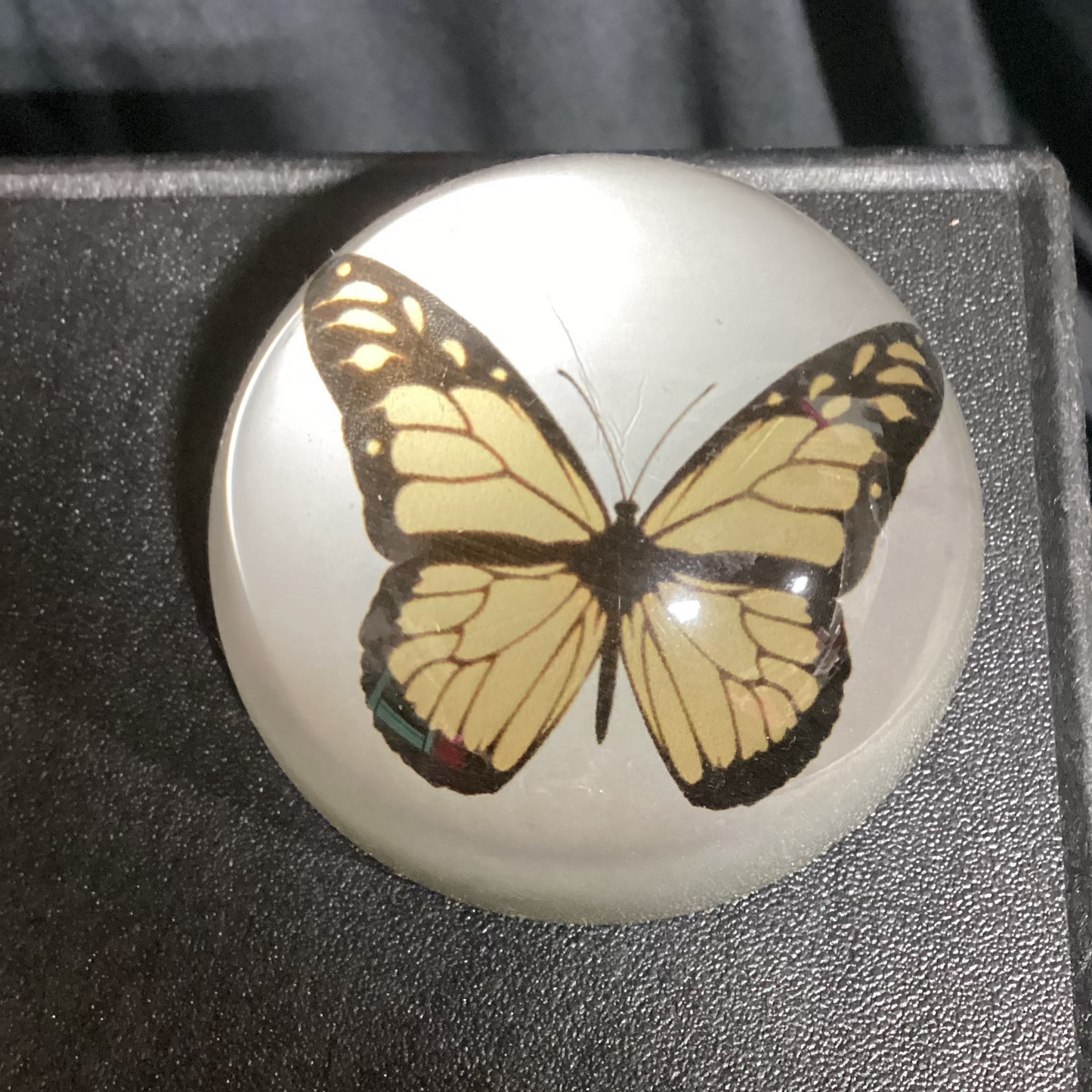 Butterfly paper weight-OPEN BOX