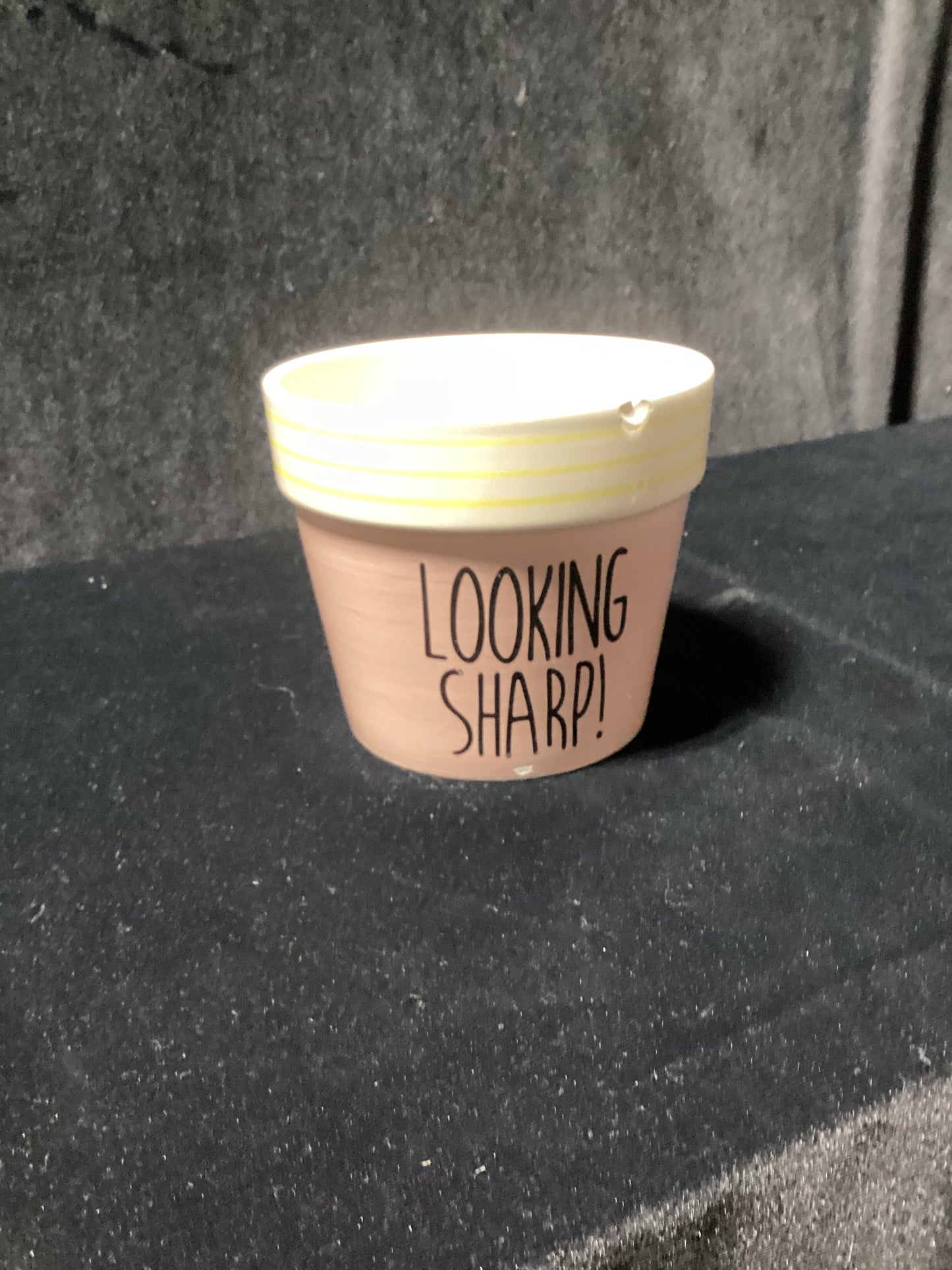 Looking Sharp flower pot - open box-8049
