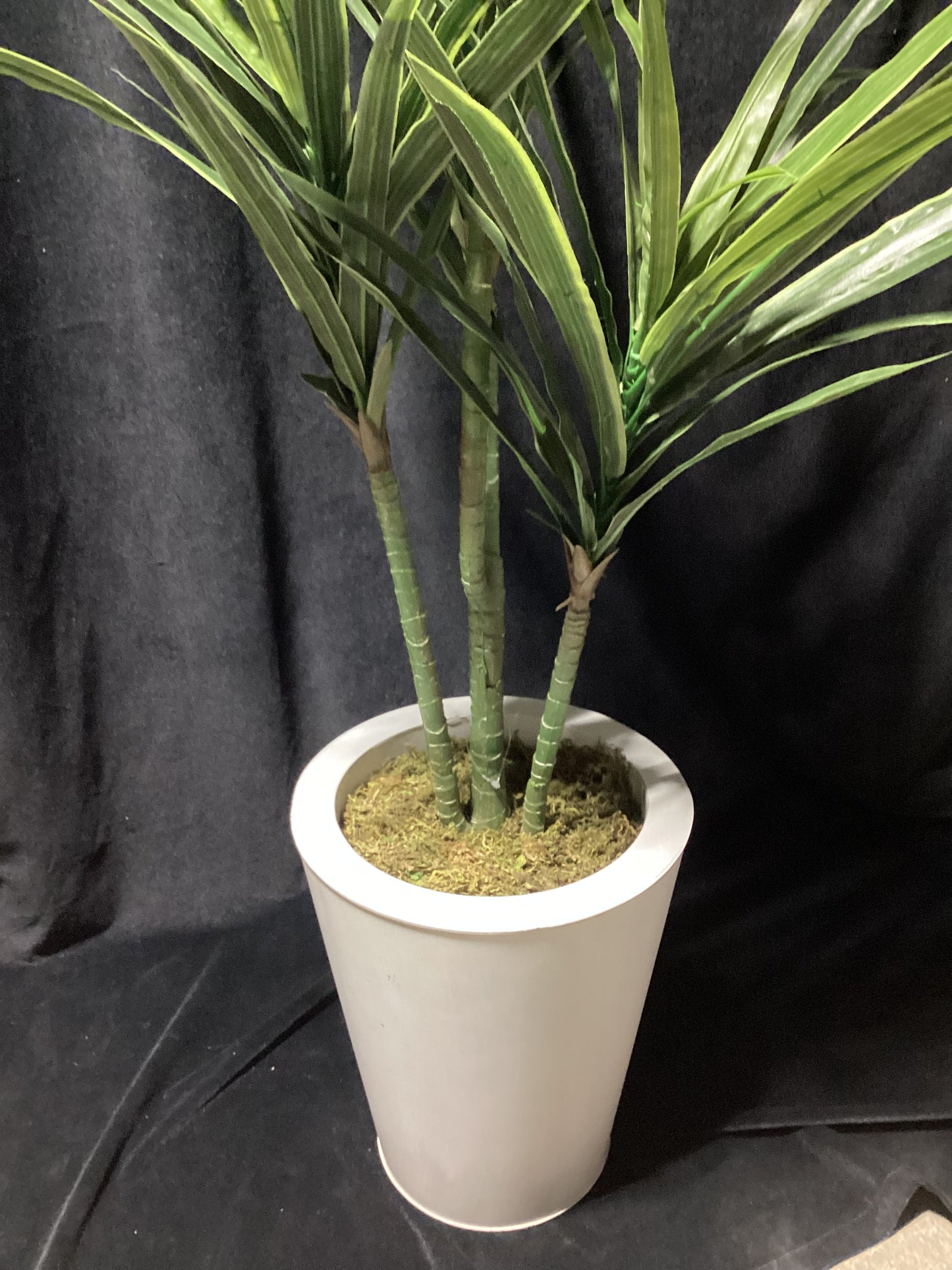 Large Faux Dracaena plant - open box