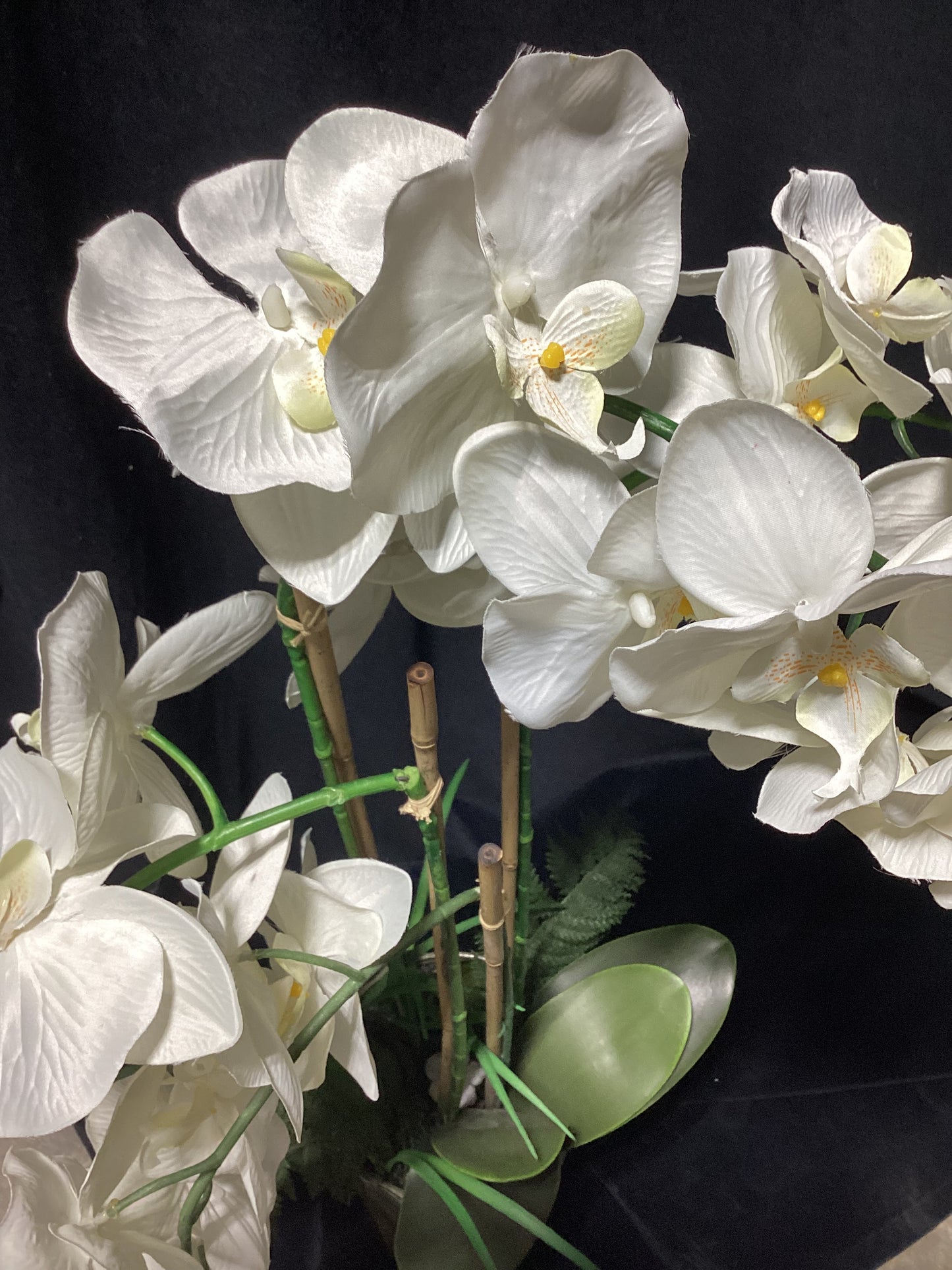 White faux orchid - open box-8153