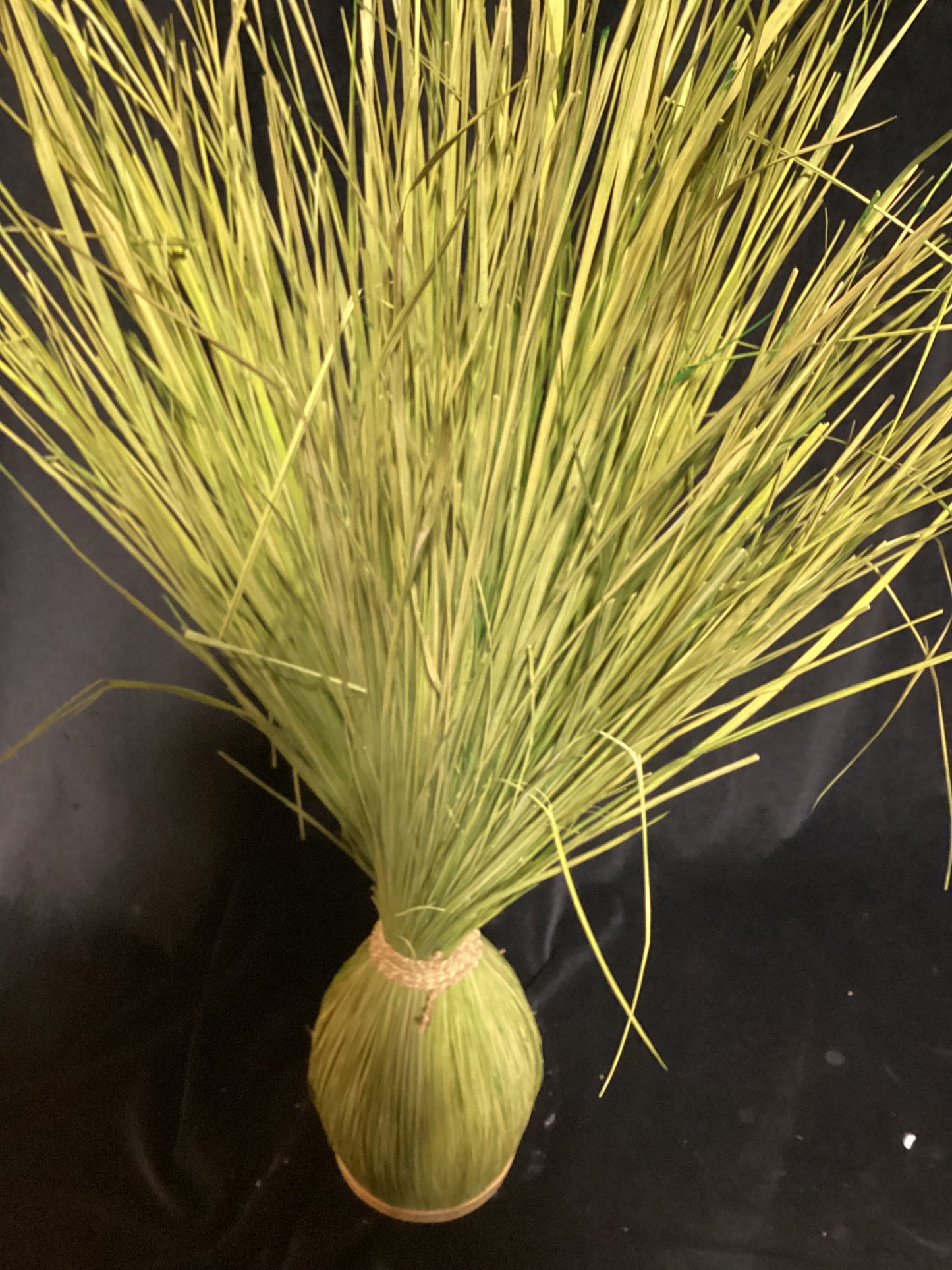 Green decorative grass stem