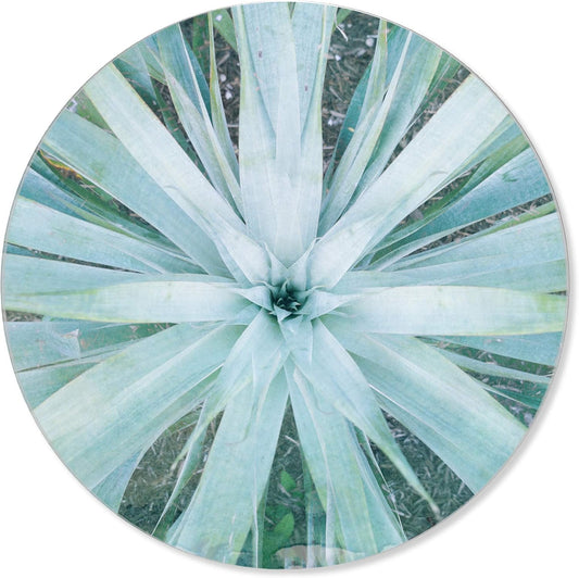 The Oliver Gal Artist Co. Acrylic botanical circle