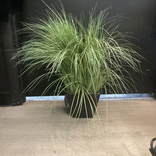 Faux Grass in Rustic Wood Planter –*OPEN BOX