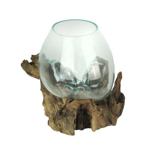 Driftwood Base Large Blown Glass Bowl