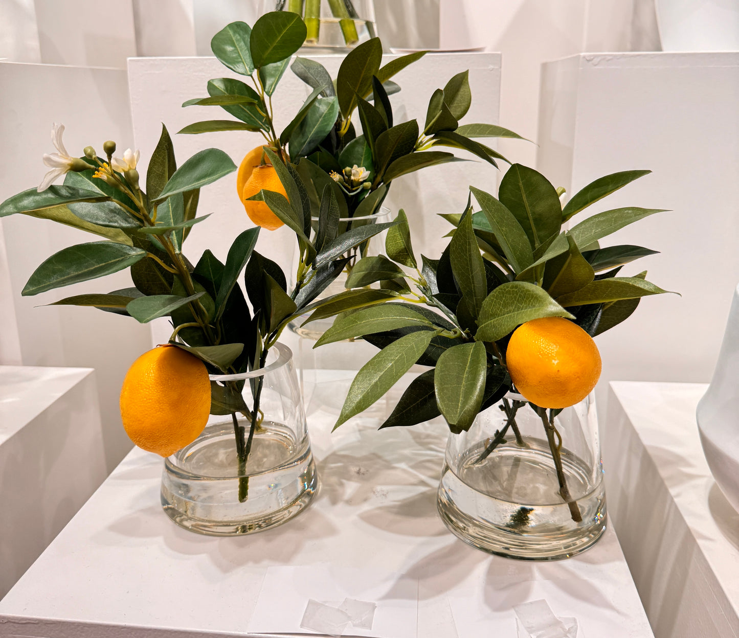 Lemon Accent in Water