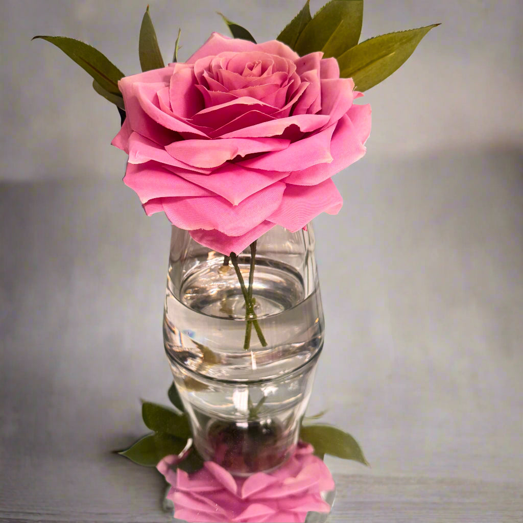Single Lavender Rose in Water