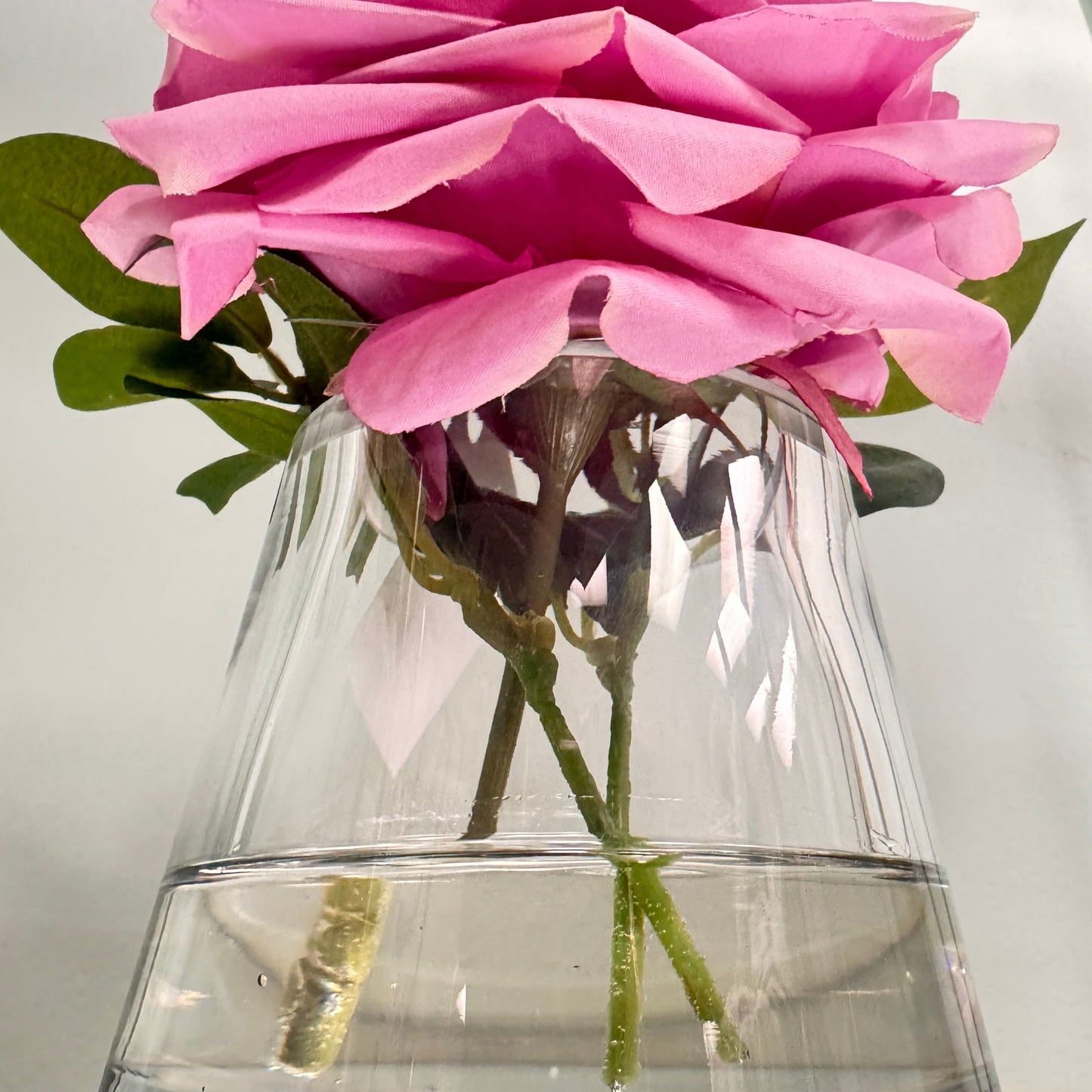 Single Lavender Rose in Water