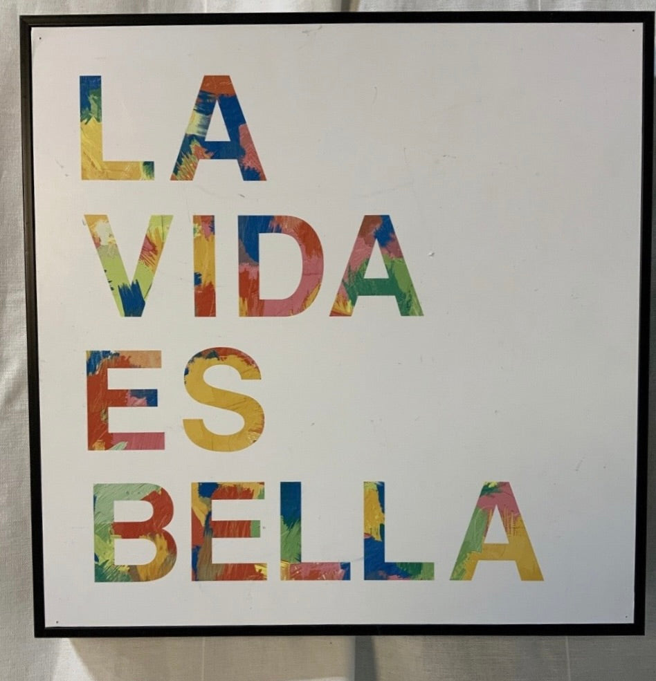 La Vida Es Bella Small Wall Art *OPEN BOX