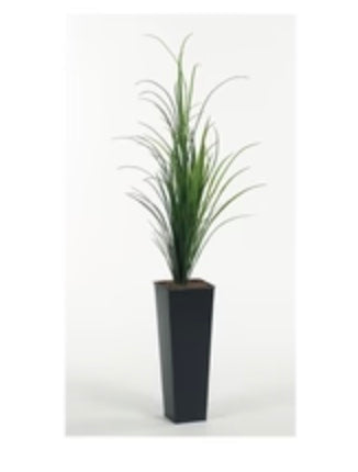 6'GRASS FLOOR PLANT