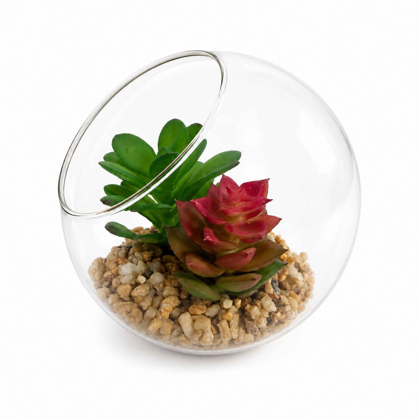 Glass terrarium with succulents