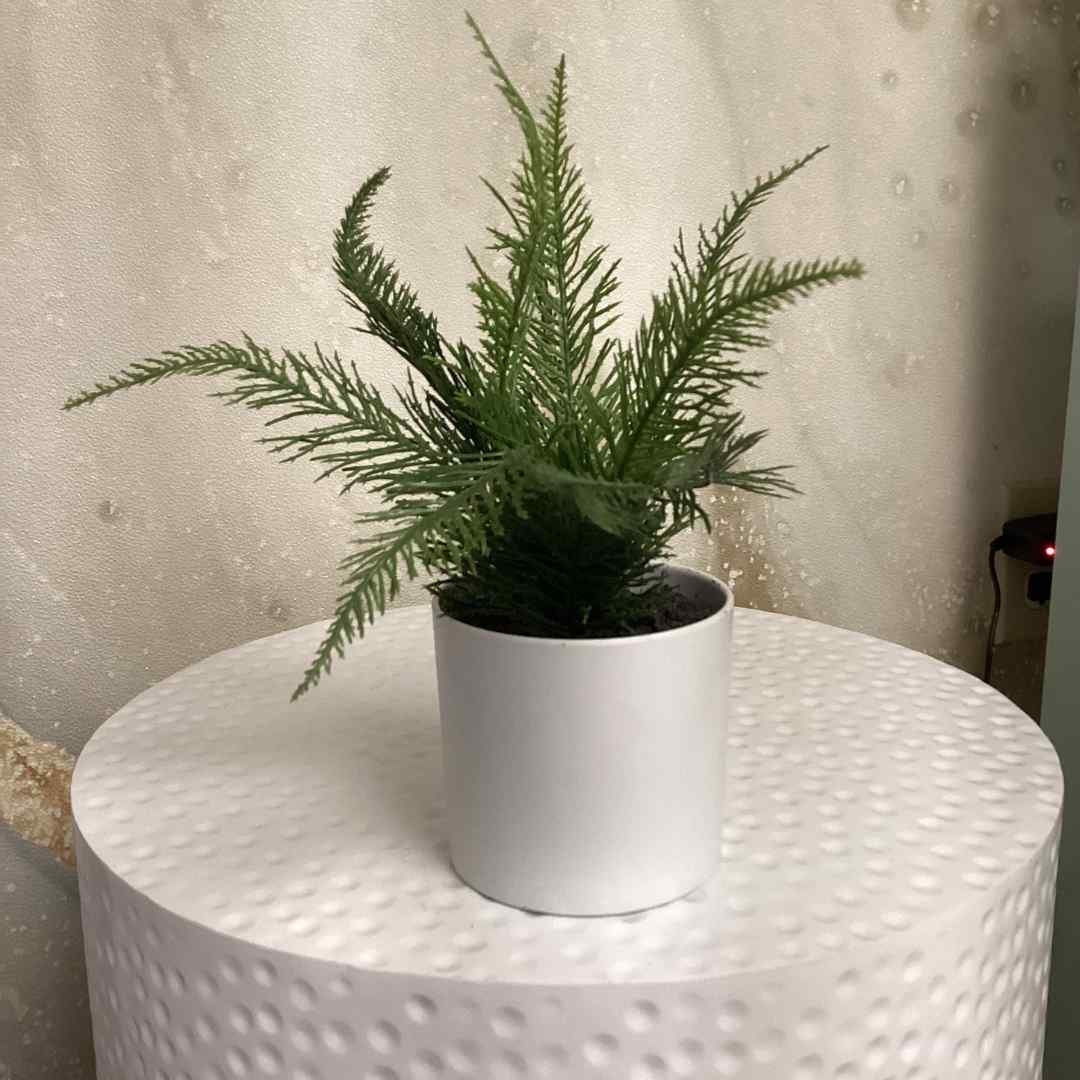 Synthetic Fern plant