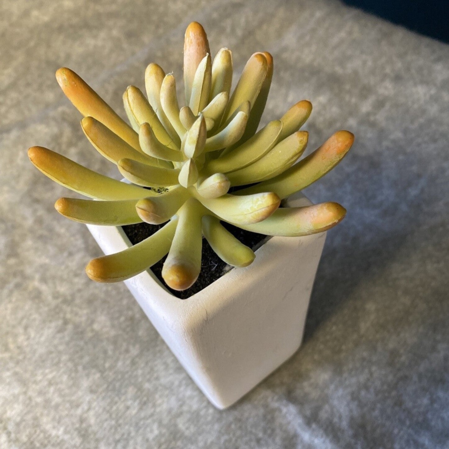 Faux Plant w/ White Vase