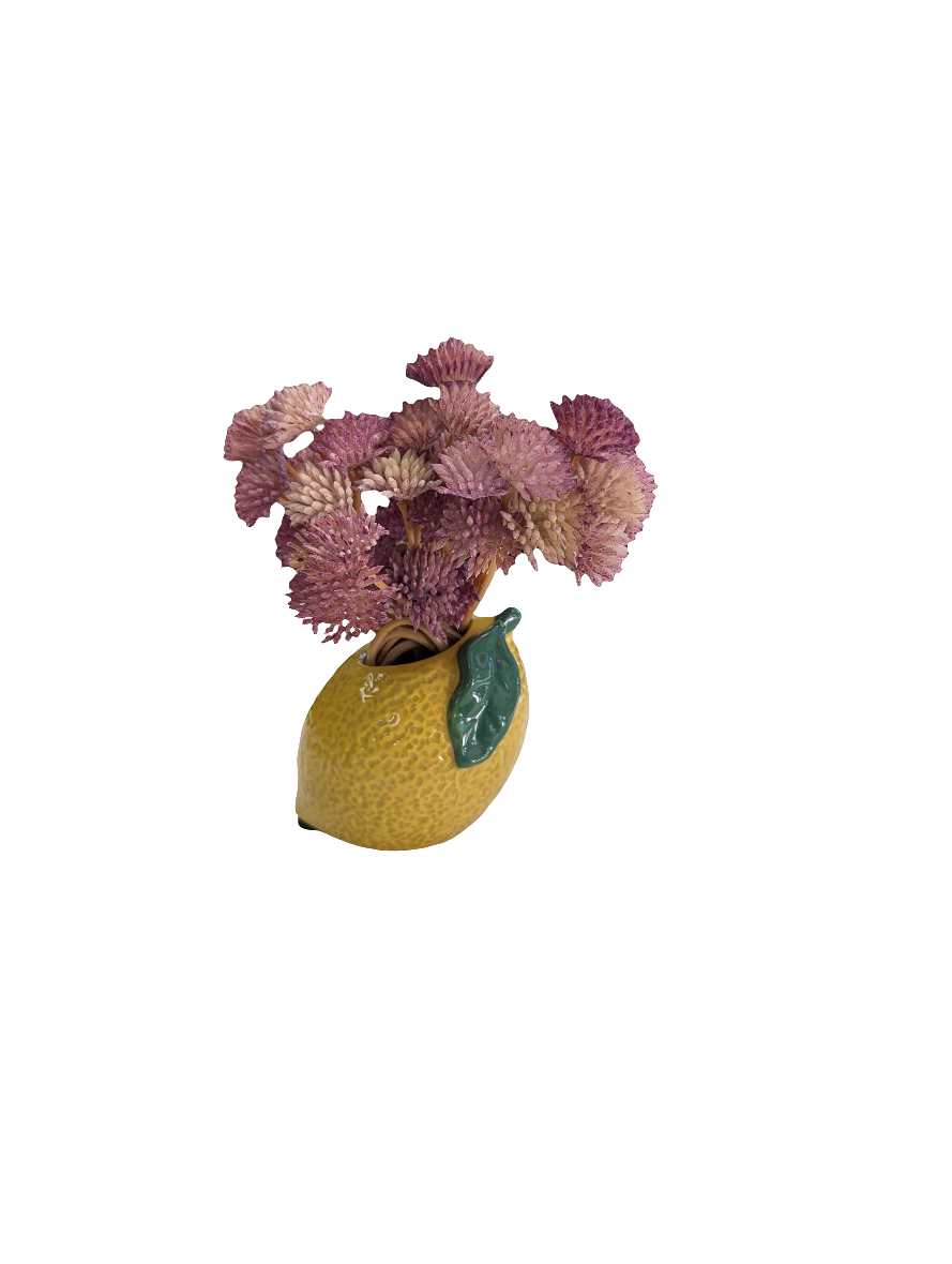 Set of Fruit Planters