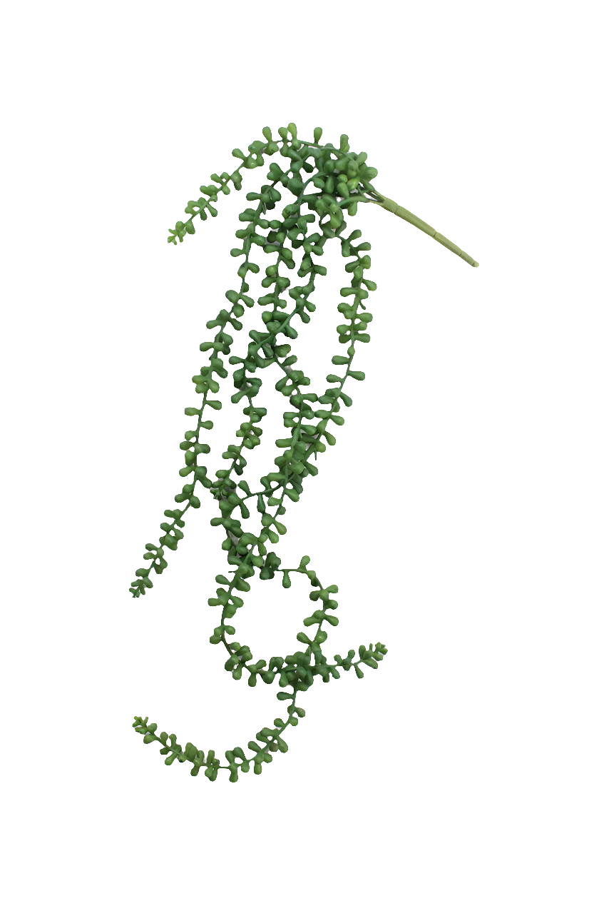Artificial Necklace Fern Succulent