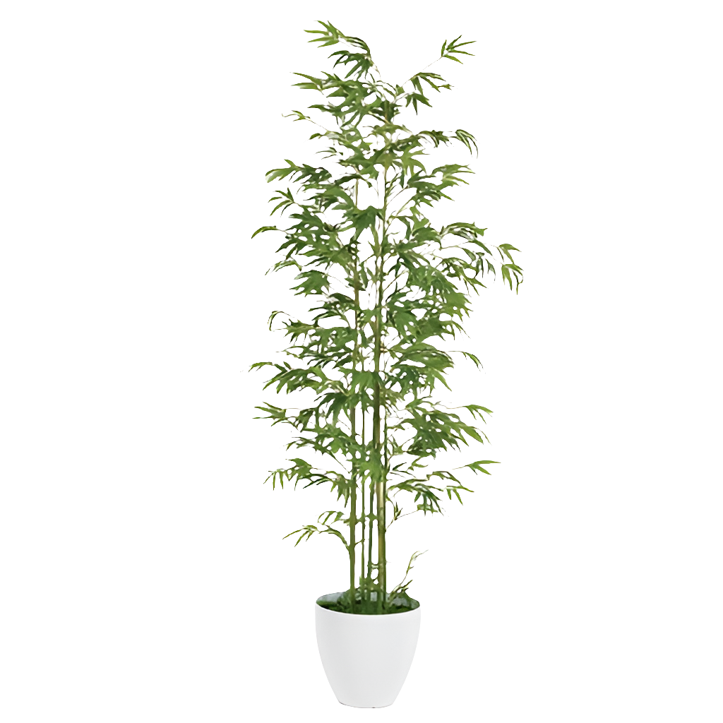 6.5' BAMBOO FLOOR PLANT – House of Sleek