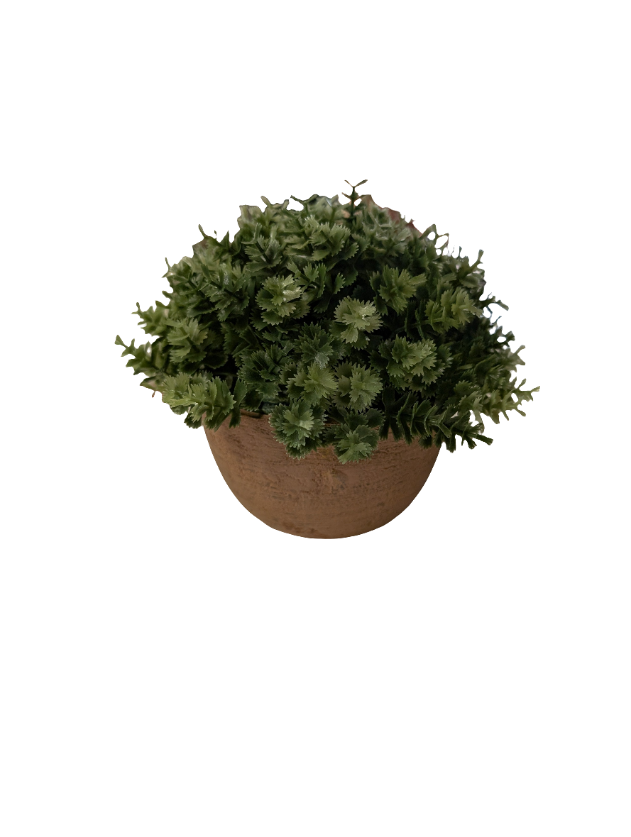 Small Faux Plant _11345-OPEN BOX